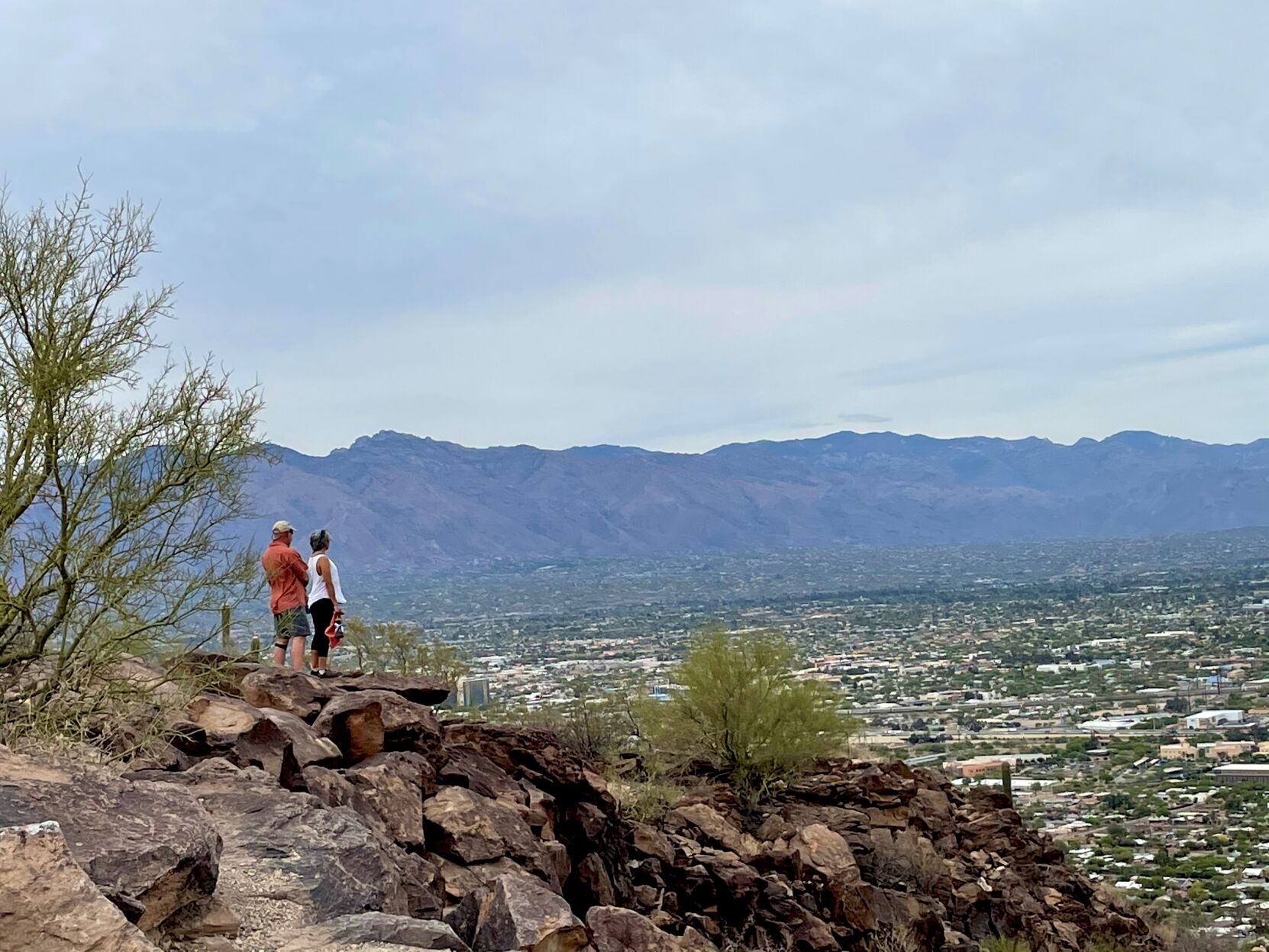 Tumamoc Hill